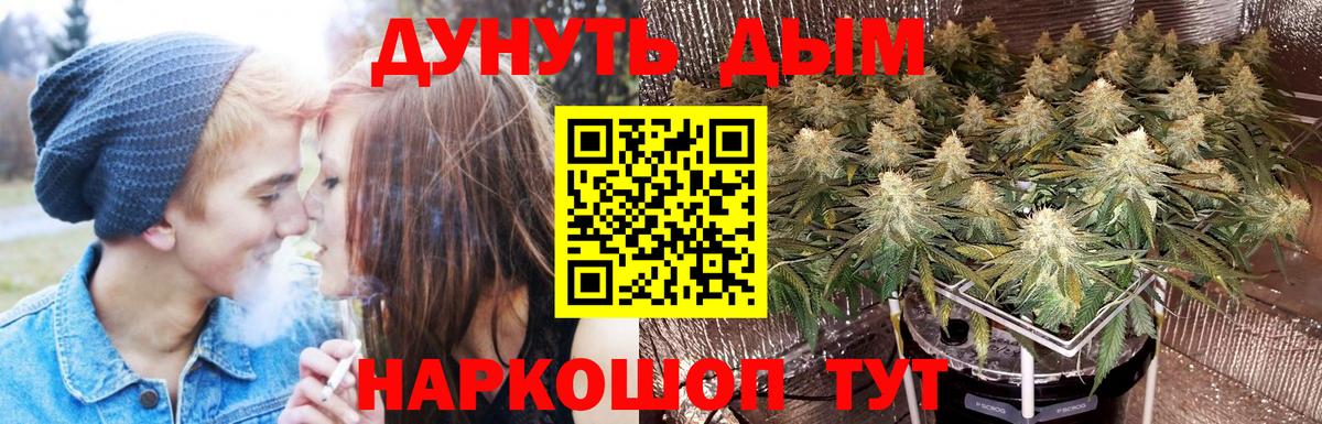 МАРИХУАНА гибрид Ачхой-Мартан