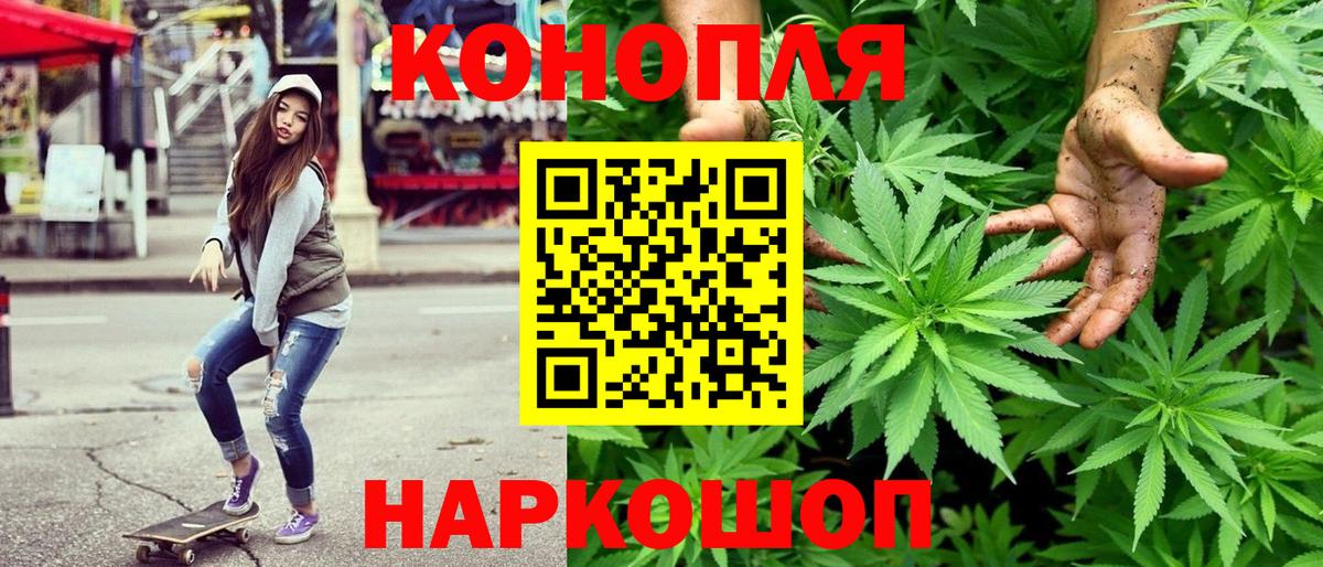 Ачхой-Мартан  Конопля семена  Конопля сатива  Вход с VPN 
